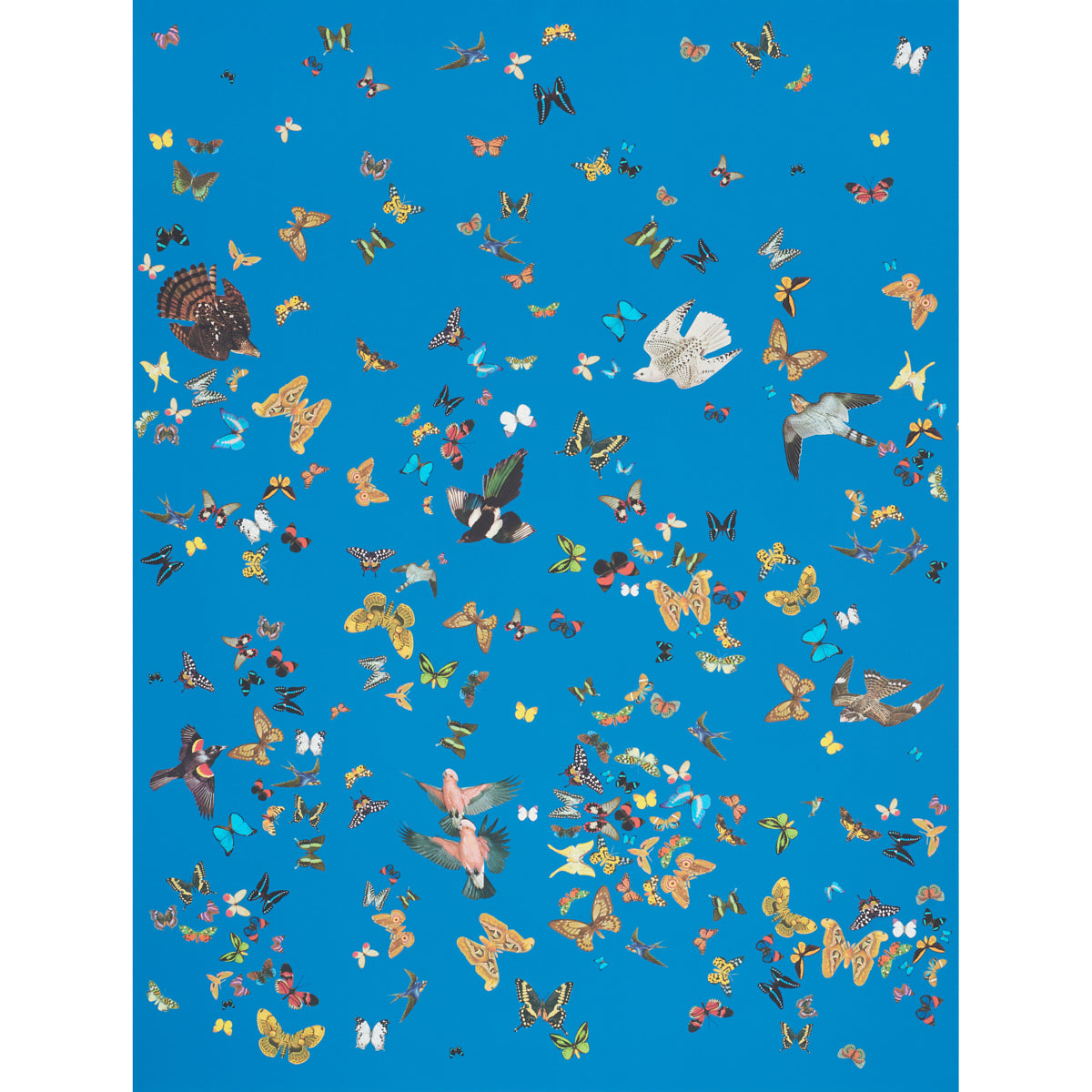 Buy 5010861 Queen'S Flight Royal Blue Schumacher Wallpaper