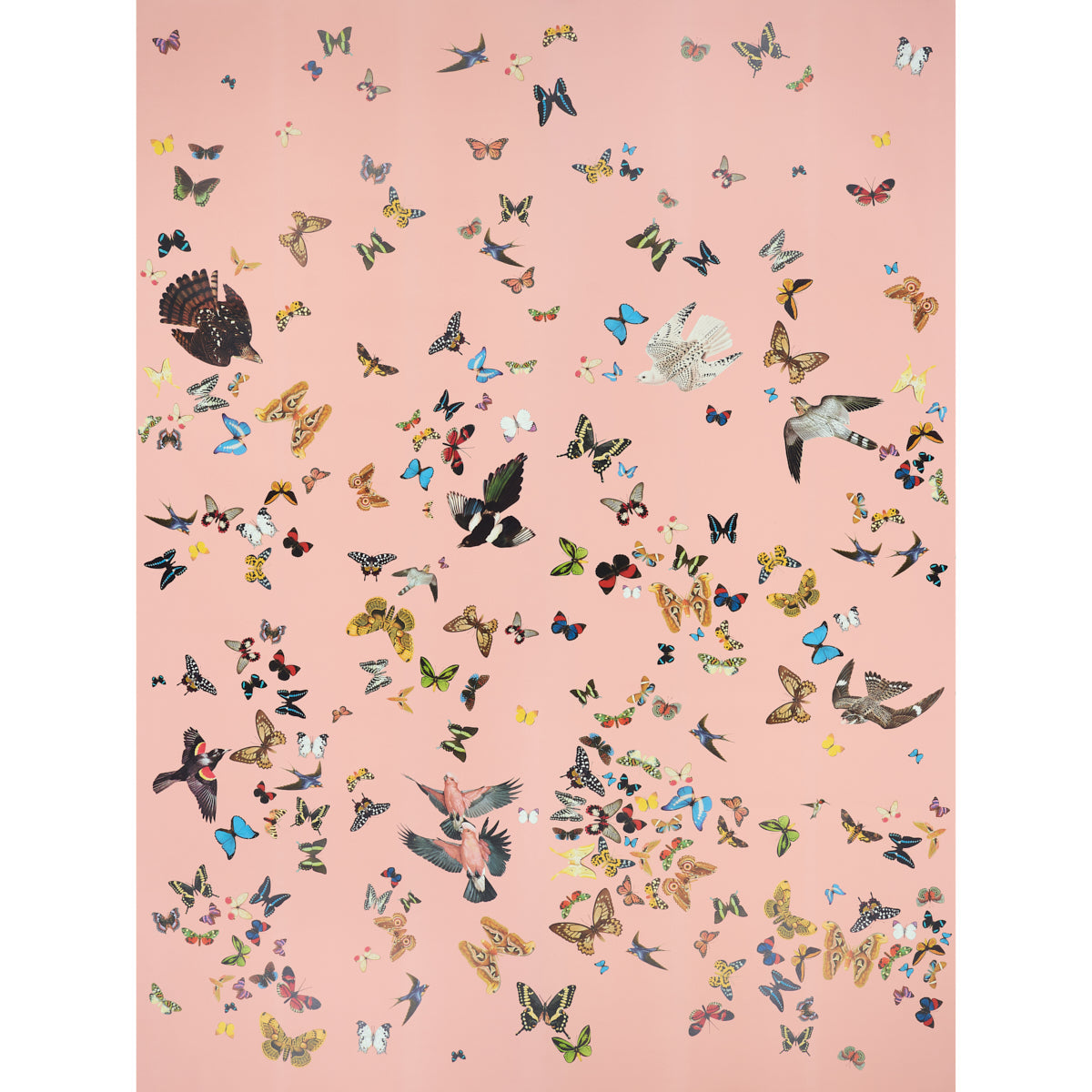 Save on 5010864 Queen's Flight Panel Set Pink Schumacher Wallpaper