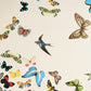 Select 5010866 Queen's Flight Panel Set Sand Schumacher Wallpaper