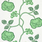 Order 5011411 Queen Fruit Jade Schumacher Wallpaper