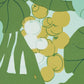 Buy 5011730 Sea Grapes Palm Schumacher Wallpaper