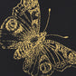 Find 5011742 Burnell Butterfly Black Schumacher Wallpaper