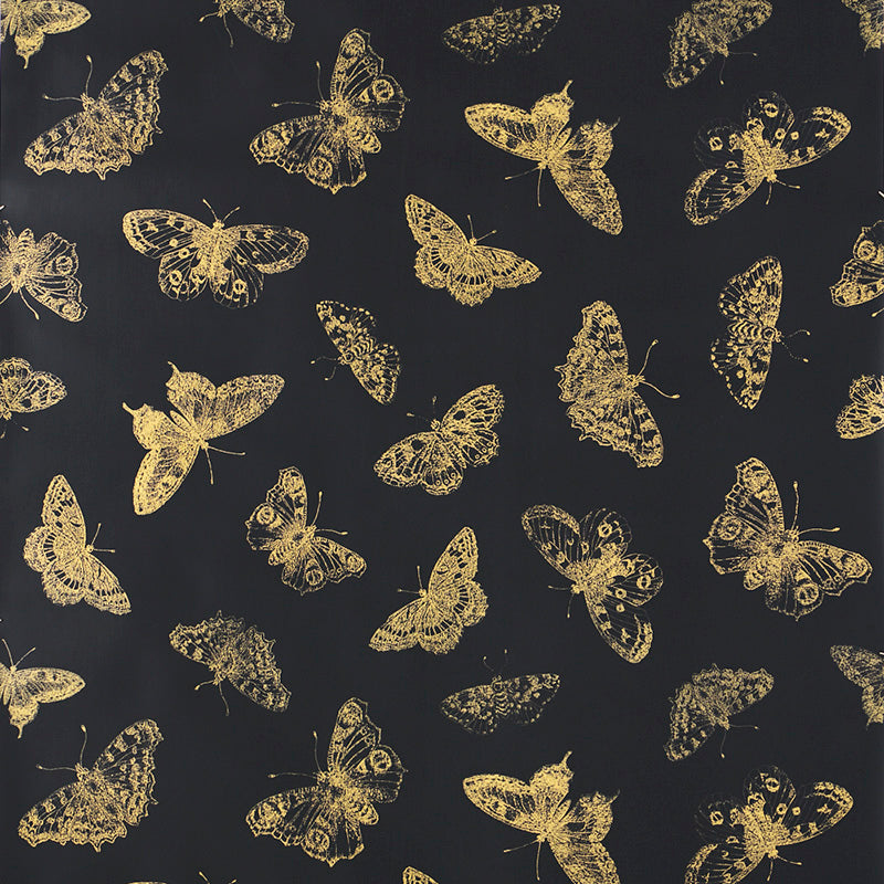 Buy 5011742 Burnell Butterfly Black Schumacher Wallpaper