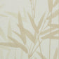 Acquire 5011791 Kanji Natural Schumacher Wallpaper