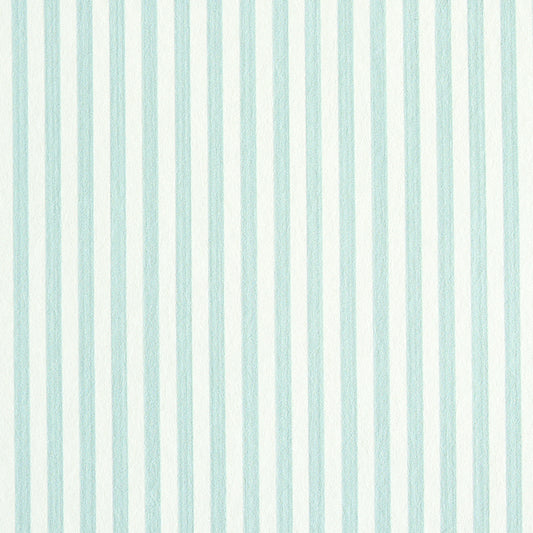 Buy 5011862 Edwin Stripe Narrow Mineral Schumacher Wallpaper
