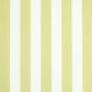 Shop 5011888 Edwin Stripe Medium Citron Schumacher Wallpaper