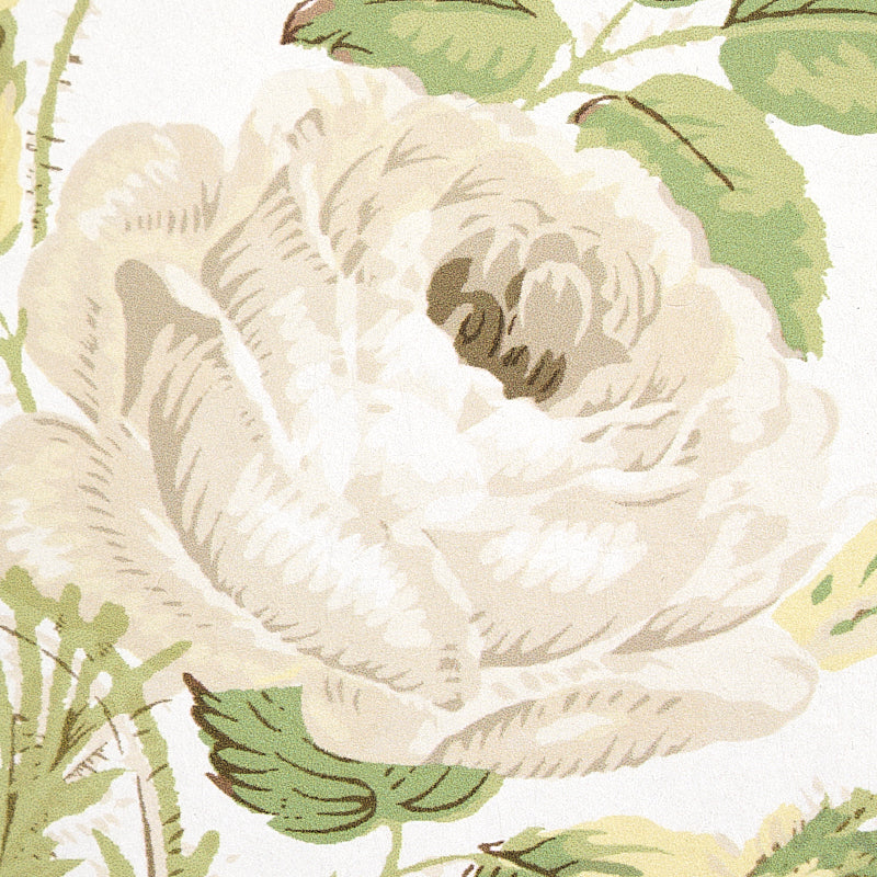 Shop 5012030 Loudon Rose Ivory Schumacher Wallpaper