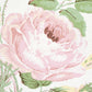 Find 5012031 Loudon Rose Blush Schumacher Wallpaper