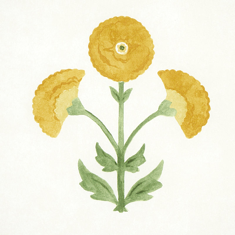 Find 5012411 Saranda Flower Marigold Schumacher Wallpaper
