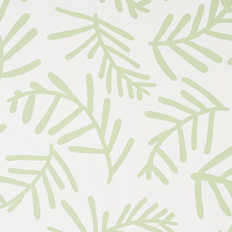 Shop 5012450 Tiah Cove Sage Leaf Schumacher Wallpaper