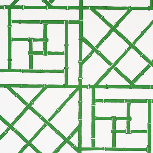 Looking for 5012571 Trellis Safari Green Schumacher Wallpaper