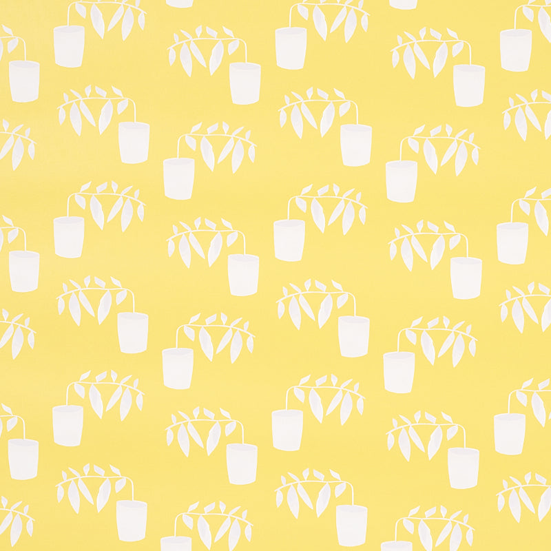 Acquire 5012711 Reaching Out Lemonade Schumacher Wallpaper