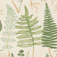 Find 5013060 Halcott Sisal Forest Schumacher Wallpaper