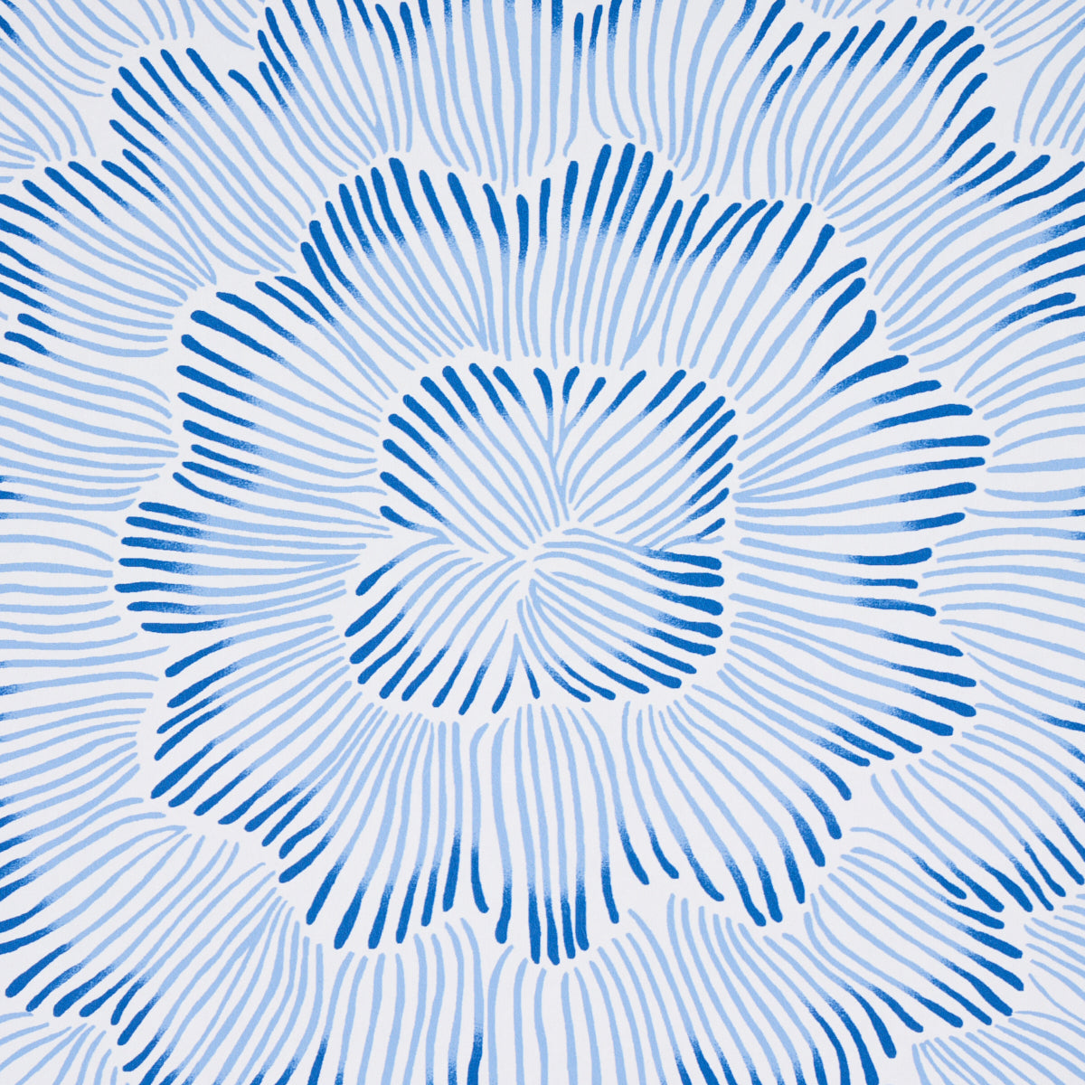 Purchase 5013820 | Feather Bloom, Blue - Schumacher Wallpaper