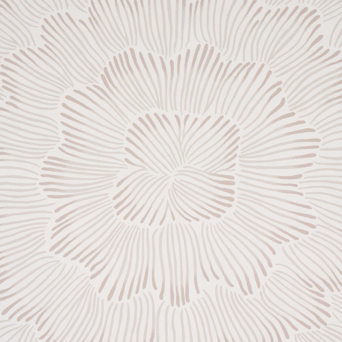 Purchase 5013821 Feather Bloom, Soft Neutral by Wallpaper2