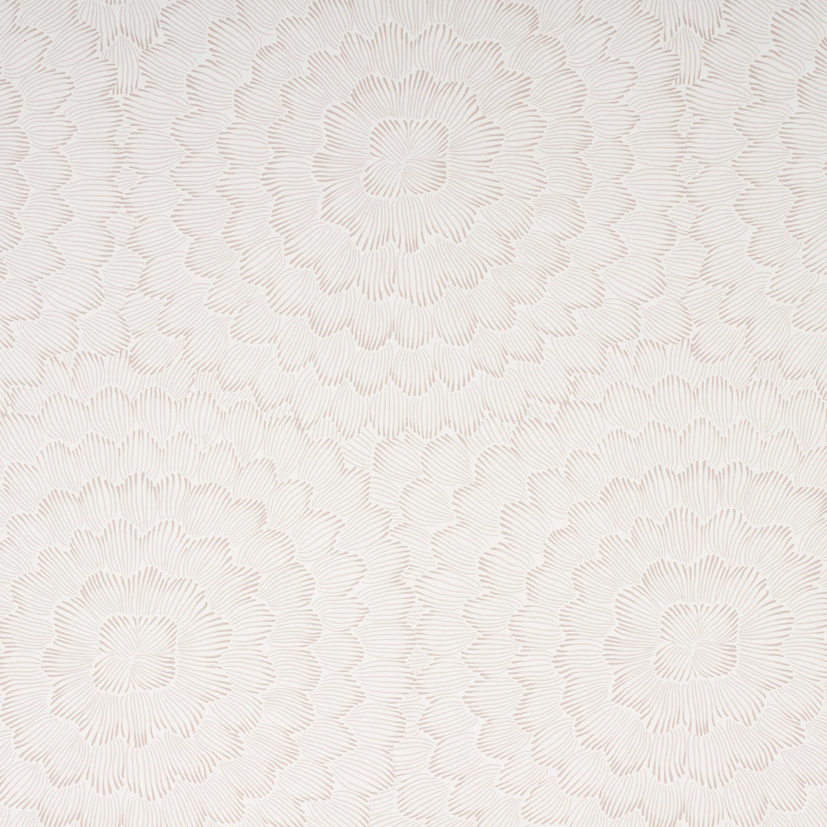 Purchase 5013821 Feather Bloom, Soft Neutral by Wallpaper