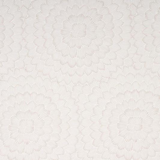 Purchase 5013821 Feather Bloom, Soft Neutral by Wallpaper