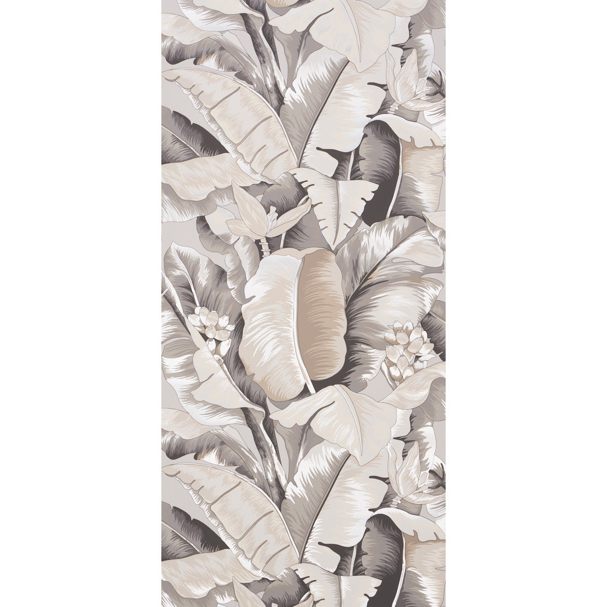 Purchase 5013860 Botanico Metallic, Platinum by Wallpaper1