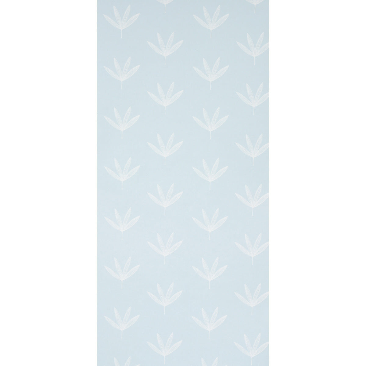 Purchase 5013920 Rue, Sky by Wallpaper1