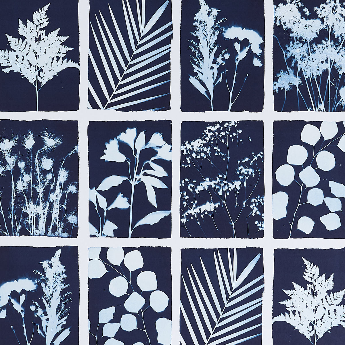 Purchase 5013970 Cyanotype Panel, Indigo by Wallpaper1