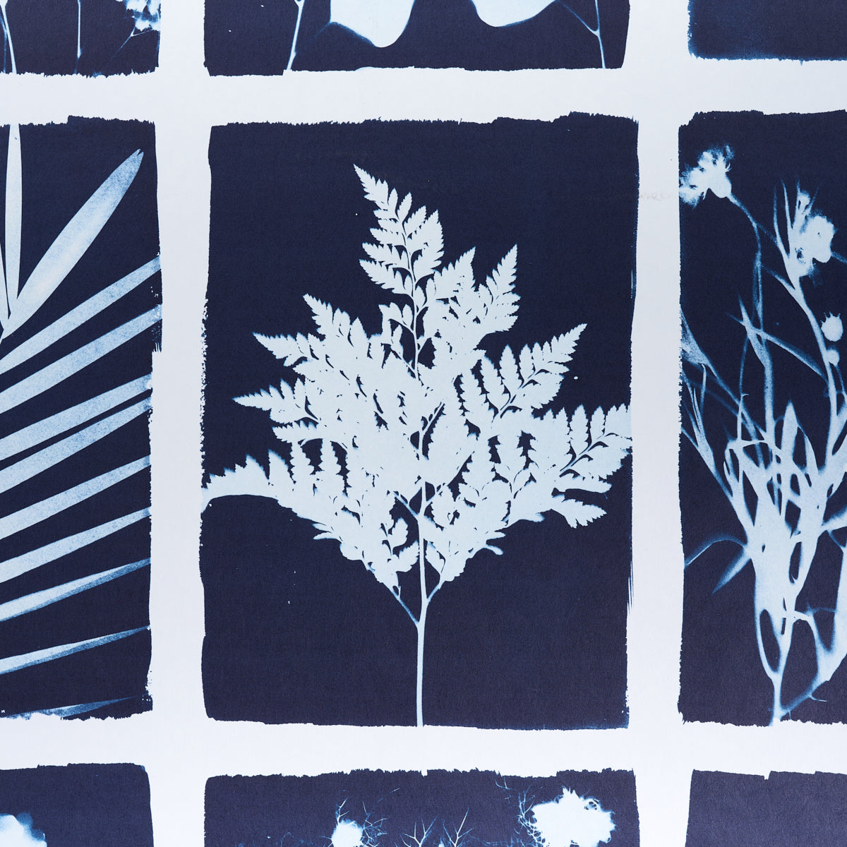 Purchase 5013970 Cyanotype Panel, Indigo by Wallpaper4