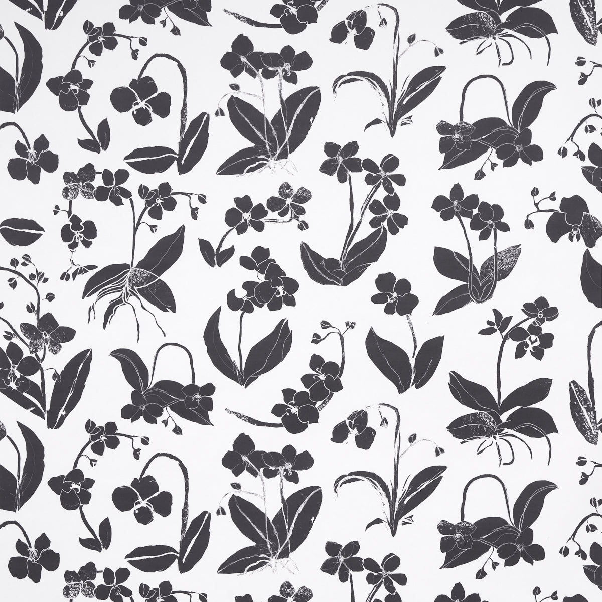 Purchase 5014100 Orchids Have Dreams, Soft Black by Wallpaper