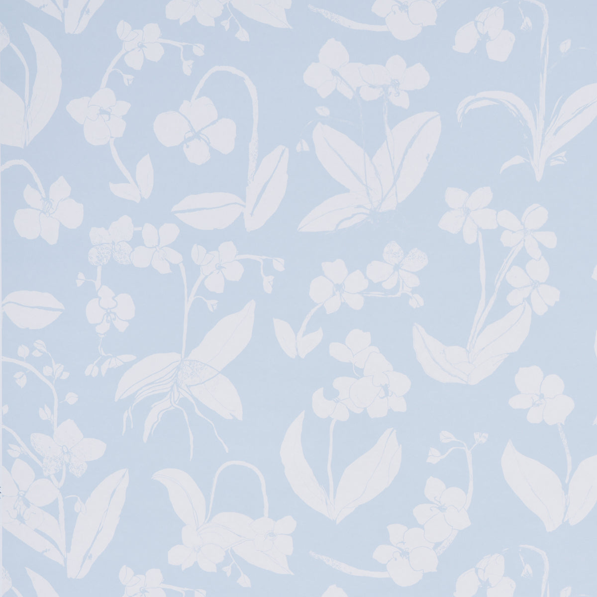 Purchase 5014101 Orchids Have Dreams, Sky by Wallpaper