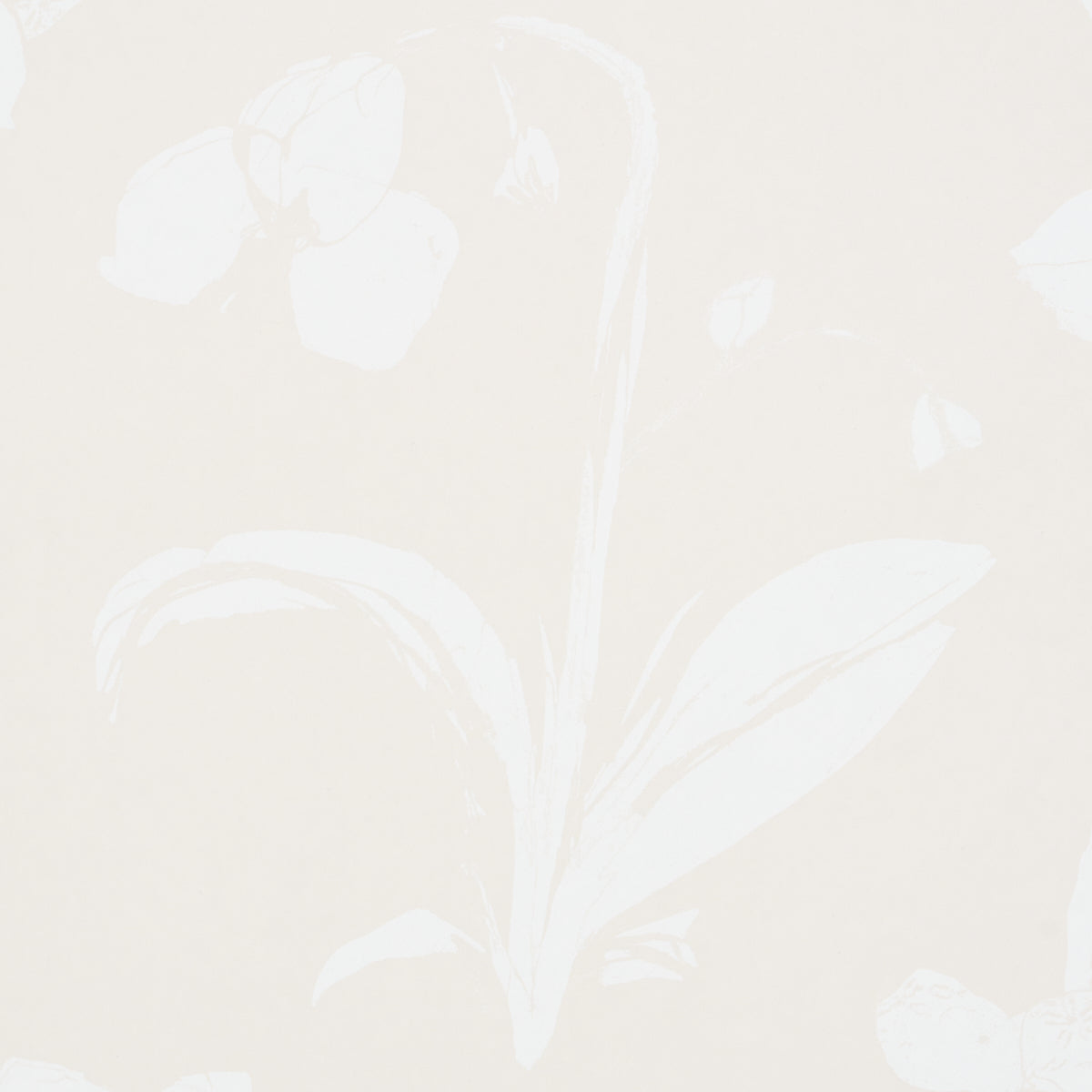 Purchase 5014102 Orchids Have Dreams, Light Neutral by Wallpaper2