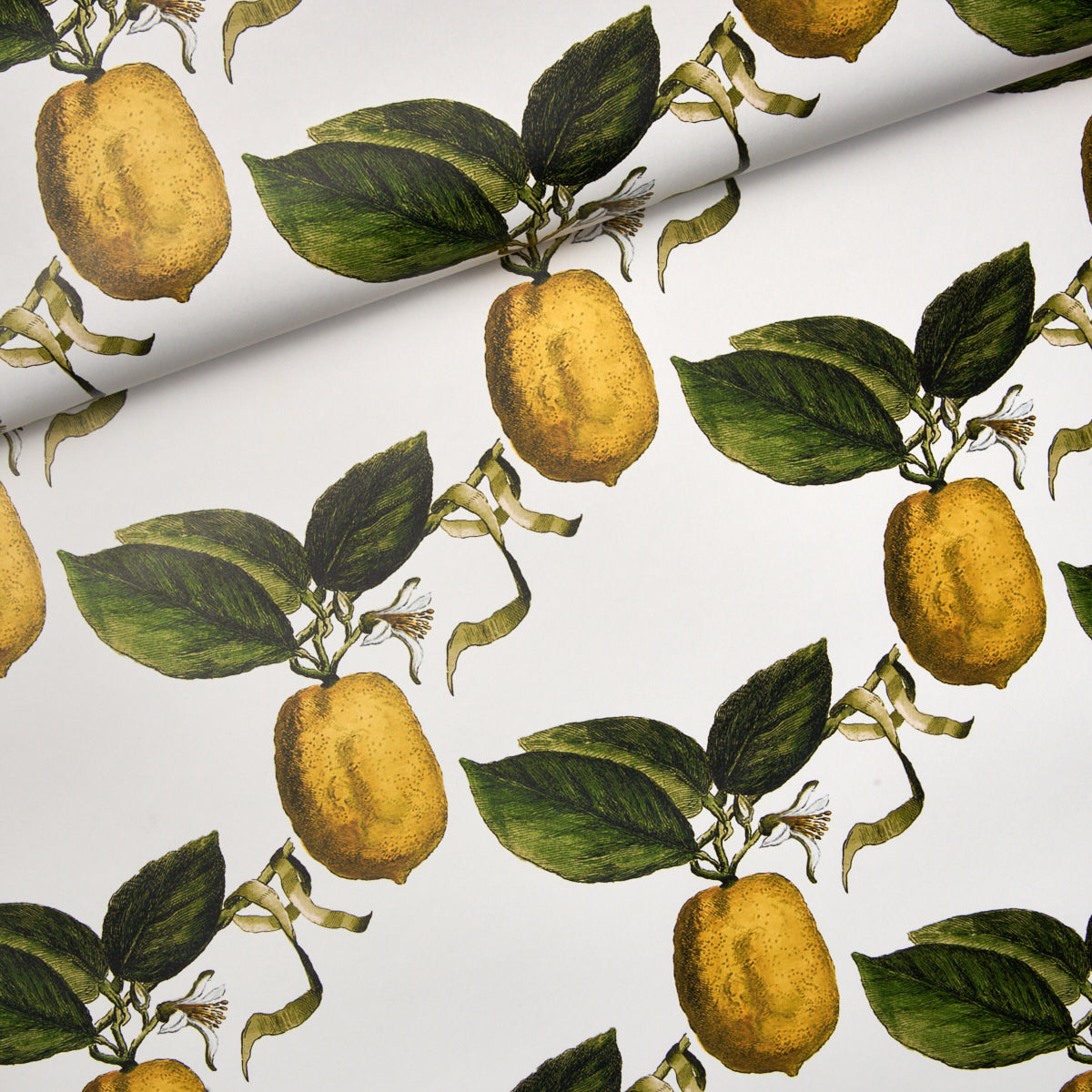 Purchase 5014280 Le Citron, Ivory by Wallpaper3