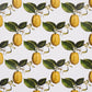 Purchase 5014280 Le Citron, Ivory by Wallpaper
