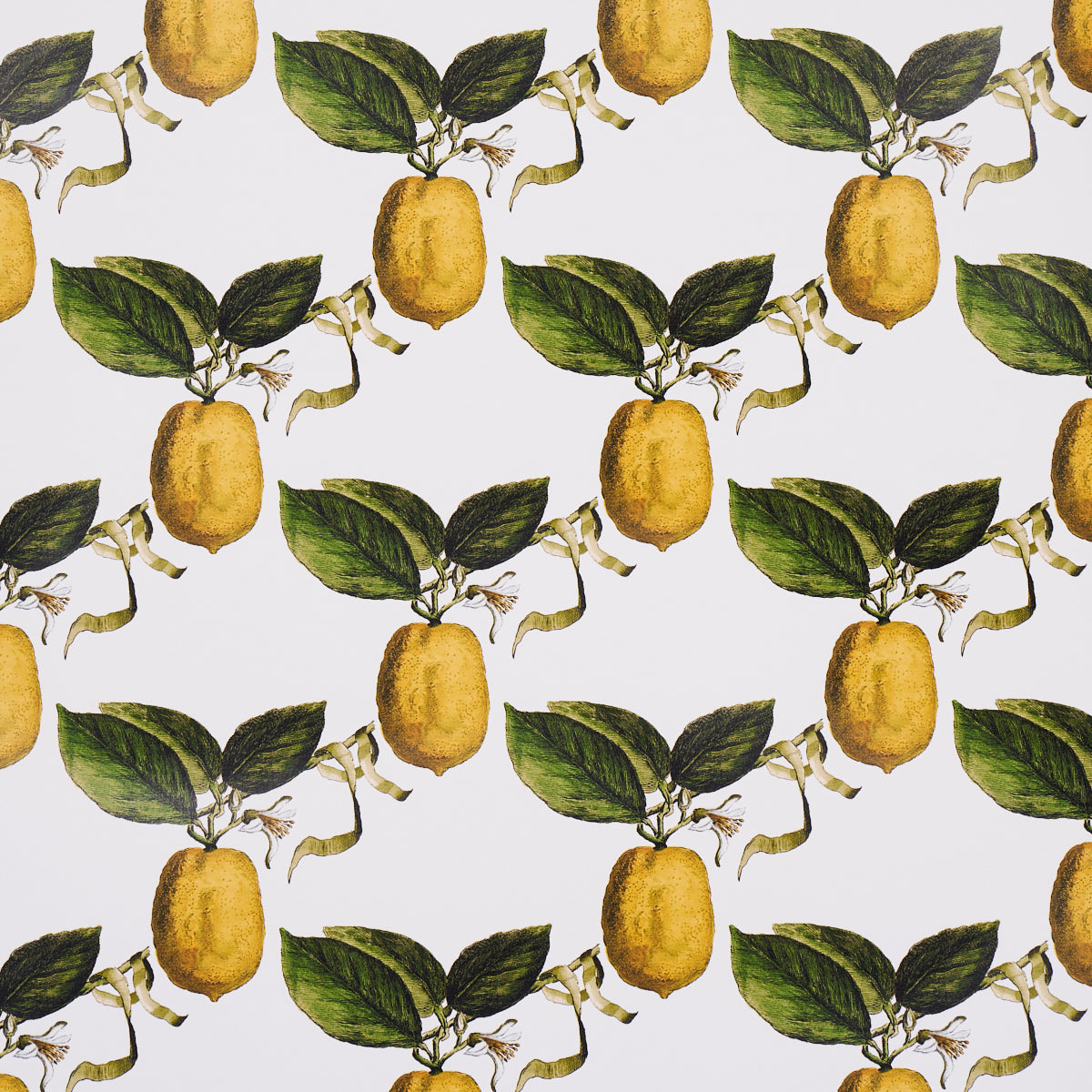 Purchase 5014280 Le Citron, Ivory by Wallpaper