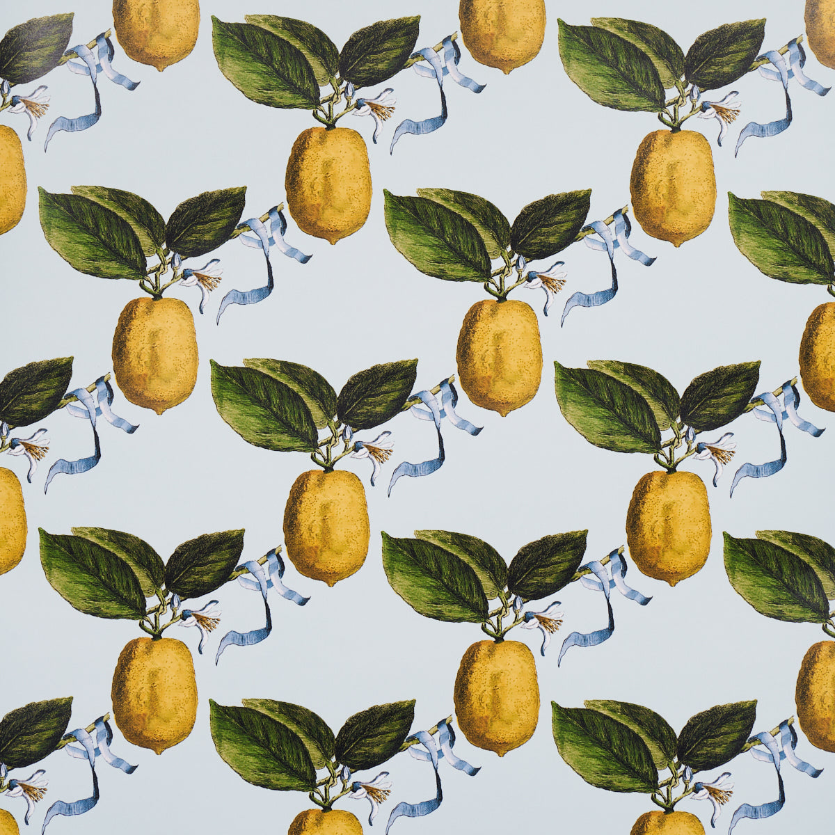 Purchase 5014281 Le Citron, Sky by Wallpaper