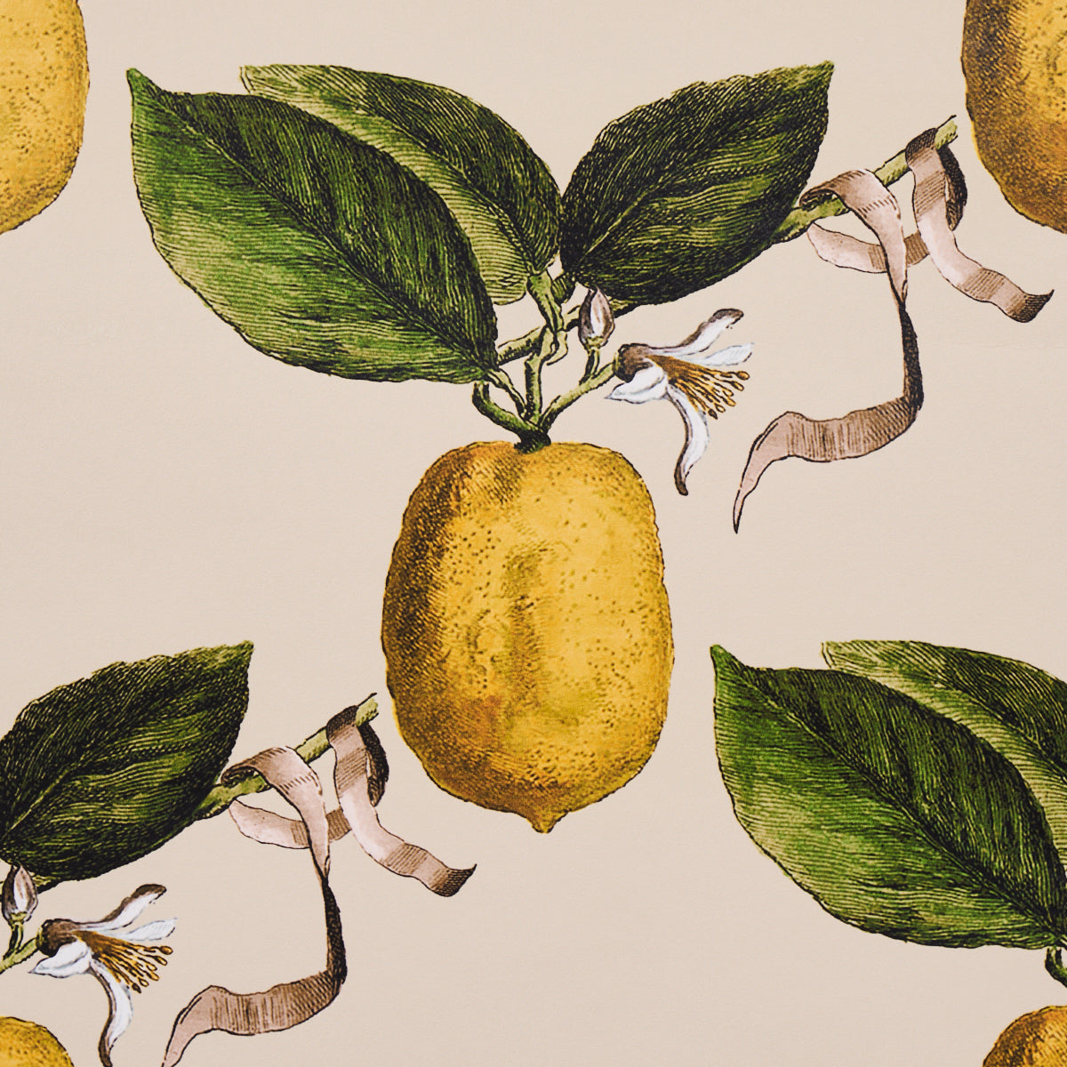 Purchase 5014282 Le Citron, Natural by Wallpaper2