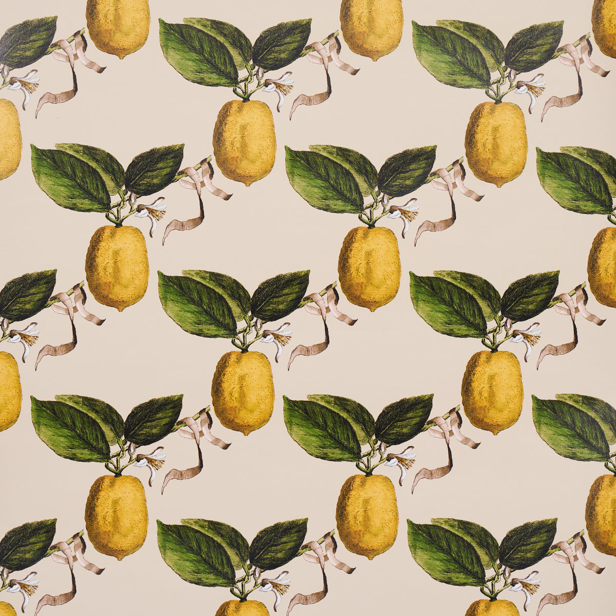 Purchase 5014282 Le Citron, Natural by Wallpaper