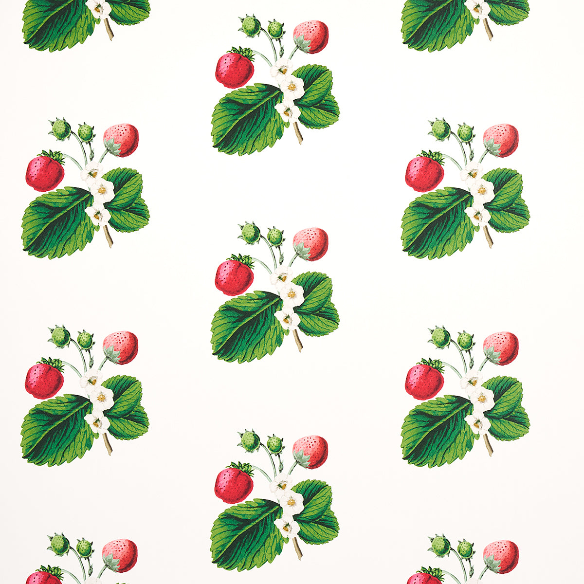 Purchase 5014320 | Strawberry Hill, White - Schumacher Wallpaper