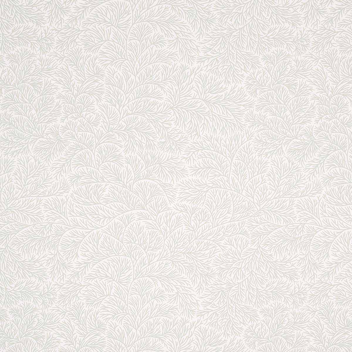 Purchase 5014331 Bougainvillea, Leaf Green by Wallpaper
