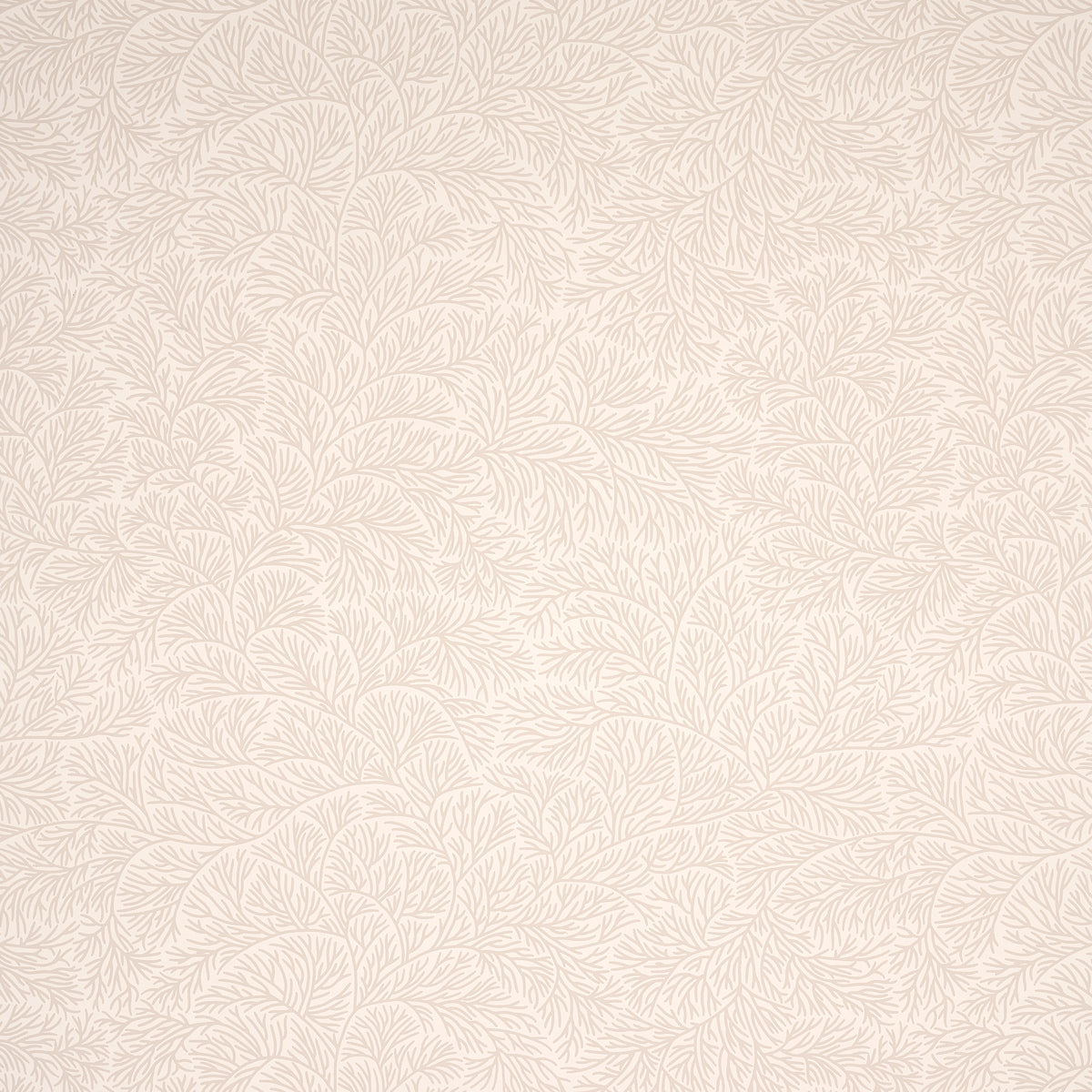 Purchase 5014332 Bougainvillea, Neutral by Wallpaper