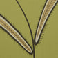 Purchase 5014531 | Caterpillar Leaf, Meadow Green - Schumacher Wallpaper