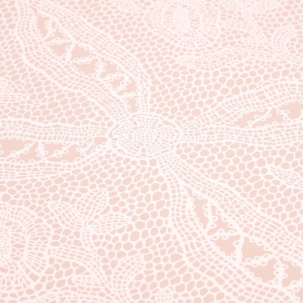 Purchase 5014720 | Cosette Lace, Blush - Schumacher Wallpaper