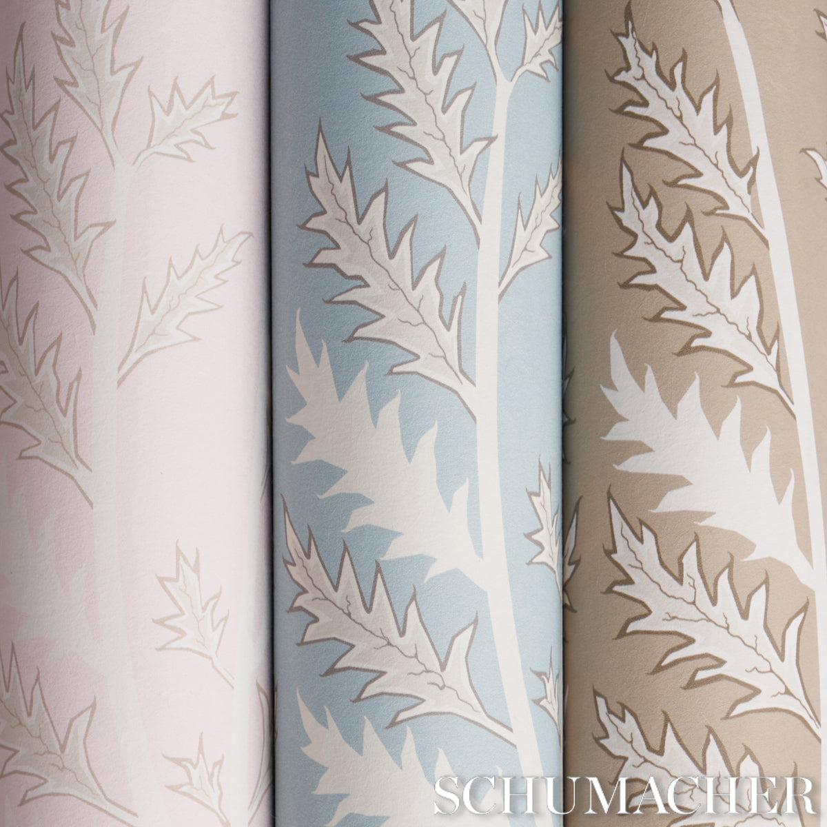 Purchase 5014952 | Thistle, Rose - Schumacher Wallpaper