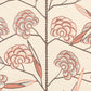 Purchase 5015030 | Jacob'S Tree, Old Rose - Schumacher Wallpaper