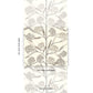 Purchase 5015031 | Jacob'S Tree, Black & Cream - Schumacher Wallpaper