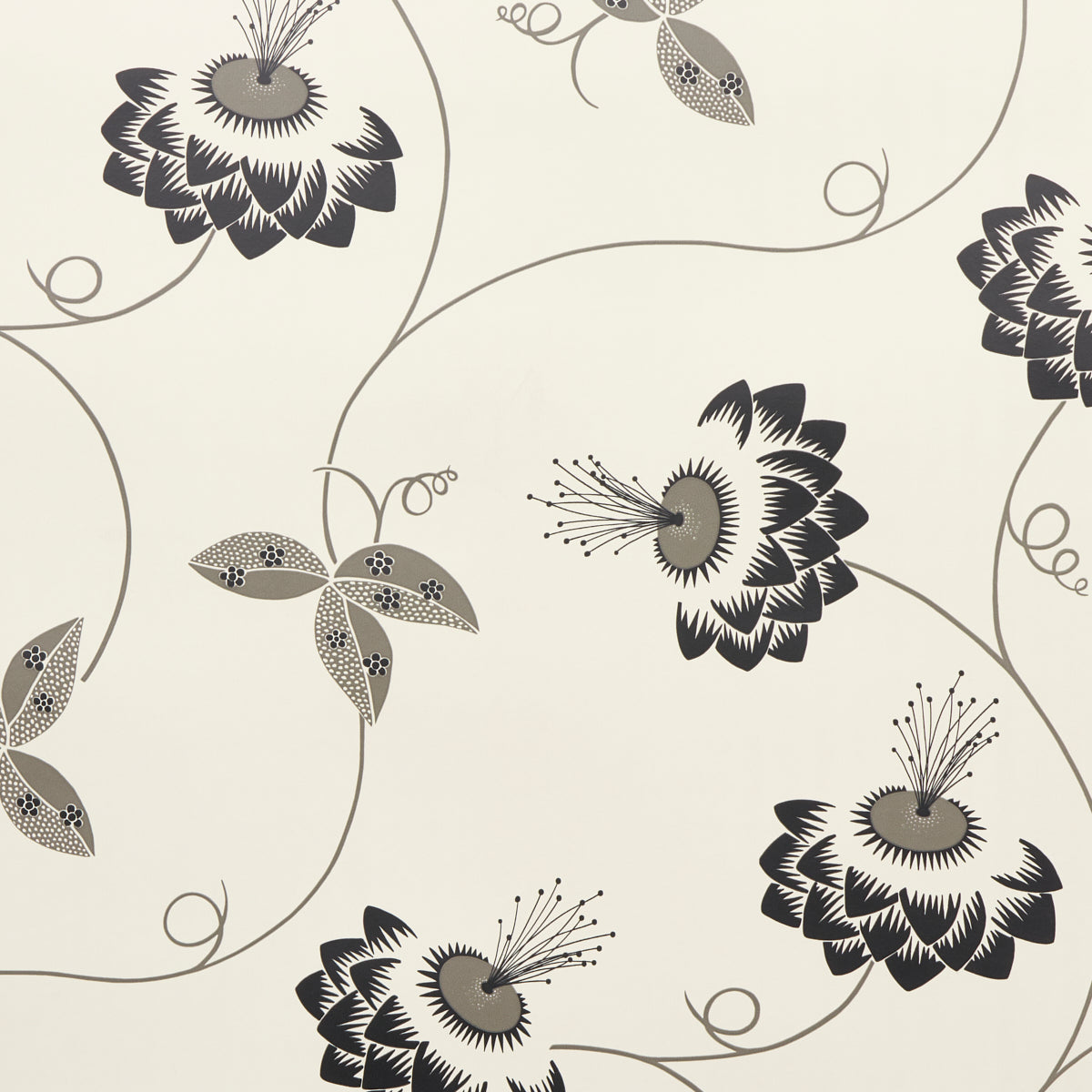 Purchase 5015050 | Merlin, Black & Cream - Schumacher Wallpaper