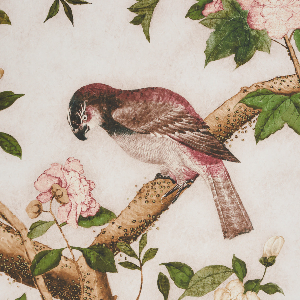 Purchase 5015151 | Les Oiseaux Panel Set, Ivory - Schumacher Wallpaper