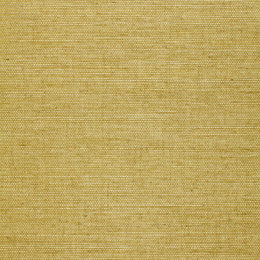 View  529630 Osan Sisal Lime by Schumacher Wallpaper