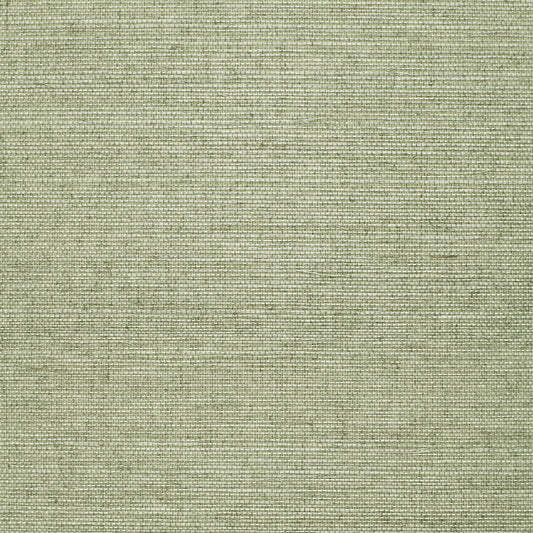 Looking for  529631 Osan Sisal Aqua by Schumacher Wallpaper