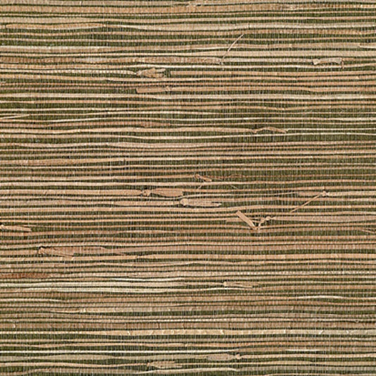 Purchase 53-65616 Jiangsu Grasscloth Mai Khaki Grasscloth Kenneth James Wallpaper