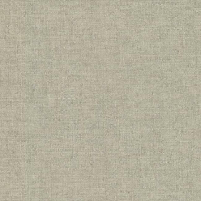 Acquire 5553 Tropics Resource Library Gunny Sack Texture Taupe York Wallpaper