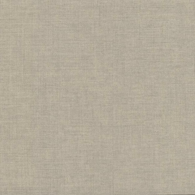 View 5572 Signature Textures Wire Mesh Off White York Wallpaper