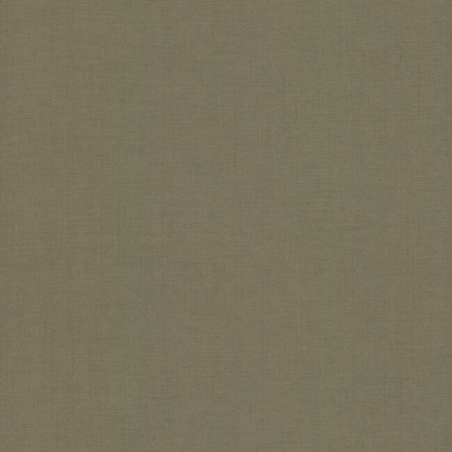 Save 5954 Signature Textures Gesso Weave Moss York Wallpaper